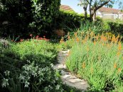  צילום: יאיר פקר