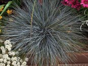  צילום: רועי קן-תור