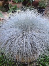  צילום: יפה לוי