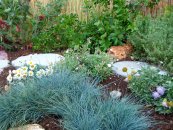  צילום: יאיר פקר, יאיר הגנן