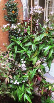  צילום: יעל פריד