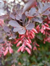  צילום: יורם חיימוביץ