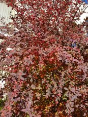  צילום: יורם חיימוביץ