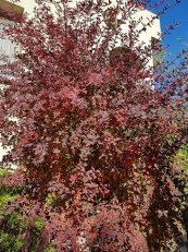  צילום: יורם חיימוביץ