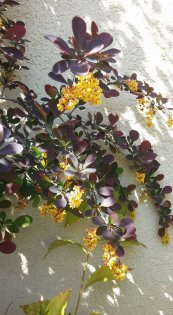  צילום: יורם חיימוביץ