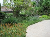  צילום: יאיר פקר, יאיר הגנן