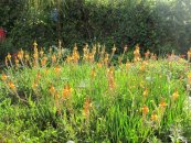  צילום: יאיר פקר