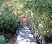 גשר עץ ושער בגן