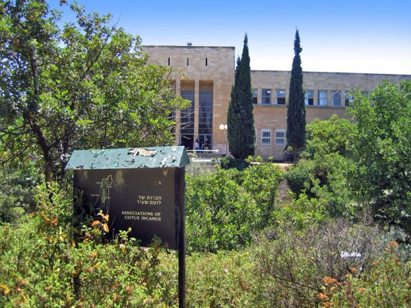 הגן הבוטני של האוניברסיטה העברית בהר הצופים, ירושלים