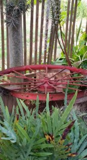 גלגל ברזל בגינה