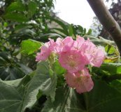  צילום: יעל פריד