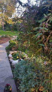  צילום: Terra Nova Gardening אייוון