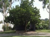  צילום: דרור ניסן