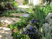  צילום: יאיר פקר, יאיר הגנן