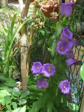  צילום: יעל פריד