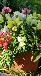  צילום: יהודית דור