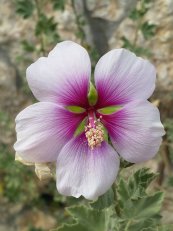  צילום: אנה יופה