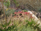  צילום: יאיר פקר, יאיר הגנן