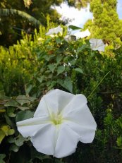  צילום: תמי שרון