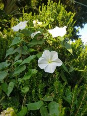  צילום: תמי שרון