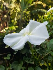  צילום: תמי שרון