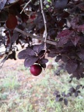  צילום: יפה לוי