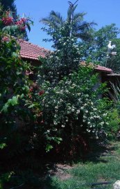  צילום: שלי כהן