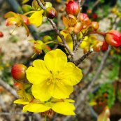  צילום: דודו מורד, משתלת ניירובי