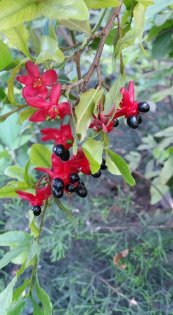  צילום: יפה לוי