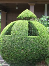  צילום: Forest & Kim Starr [CC-BY-3.0 (http://creativecommons.org/licenses/by/3.0)], via Wikimedia Commons