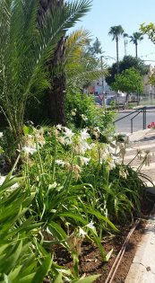  צילום: עפרה ריינהולד