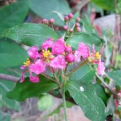  צילום: יעל פריד