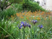  צילום: יאיר פקר, יאיר הגנן