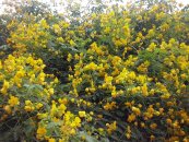  צילום: עמי בוארון