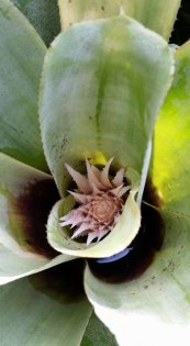  צילום: יפה לוי