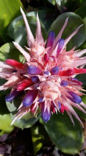  צילום: יפה לוי