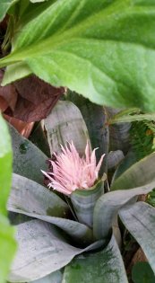  צילום: יפה לוי