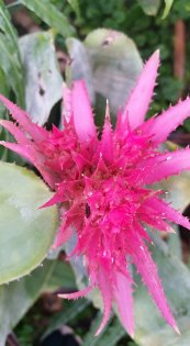  צילום: יפה לוי