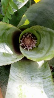  צילום: יפה לוי