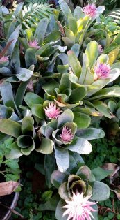  צילום: יפה לוי