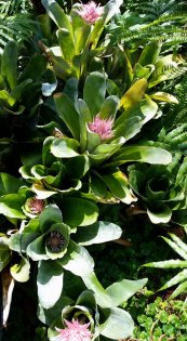  צילום: יפה לוי