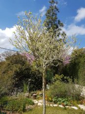  צילום: יורם חיימוביץ