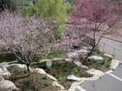  צילום: יאיר פקר, יאיר הגנן