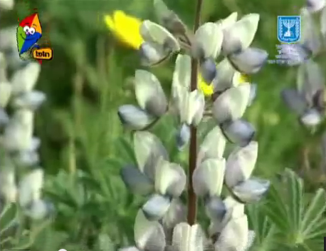 Screen Shot 2015-05-01 at 10.32.39 AM