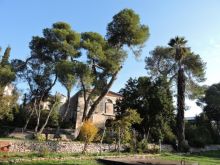 סיור בעקבות עצים בגינה הקהילתית, מוזיאון הטבע בירושלים
