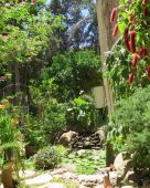 הגינה של יעל פריד - סיפורי גינות