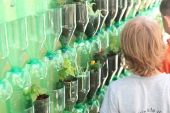 קיר ירוק מבקבוקים ממוחזרים בבית הספר